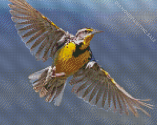 Flying Western Meadowlark Diamond Painting