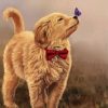 Golden Puppy Art Diamond Painting