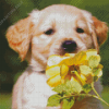 Golden Puppy With Yellow Flower Diamond Painting