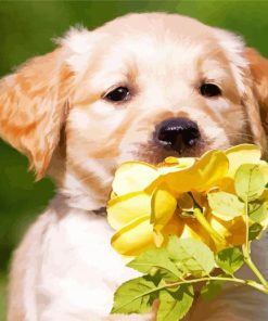 Golden Puppy With Yellow Flower Diamond Painting