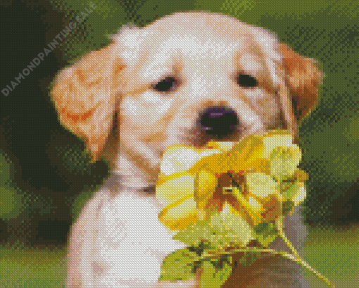 Golden Puppy With Yellow Flower Diamond Painting