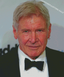 Actor Harrison Ford Celebrity Diamond Painting