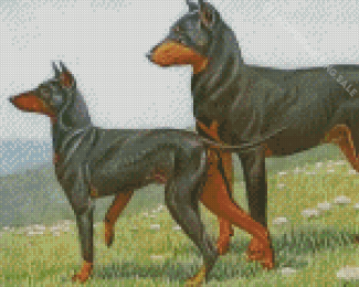 Manchester Terrier Dogs Diamond Painting