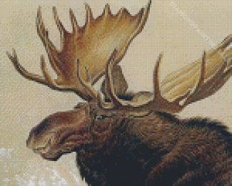 Moose Head Diamond Painting