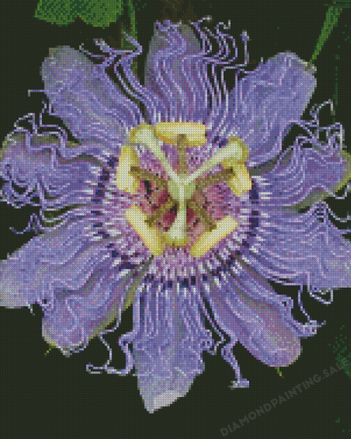 Passionflower Plant Diamond Painting