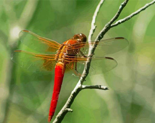 Red Dragonfly Insect Diamond Painting