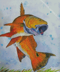 Red Drum Fish Art Diamond Painting