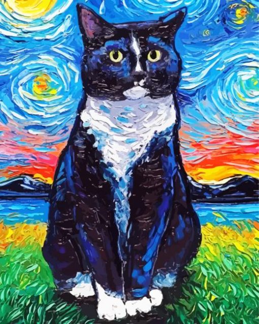 Starry Night Tuxedo Cat Diamond Painting