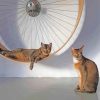 The Cats Wall Wheel Diamond Painting