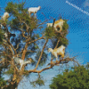 Tree Goats Diamond Painting