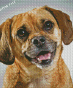 Adorable Puggle Dog Diamond Painting