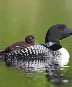 Aesthetic Loon With Baby Diamond Painting