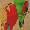 Eclectus Parrots Birds Diamond Painting