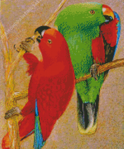 Eclectus Parrots Birds Diamond Painting