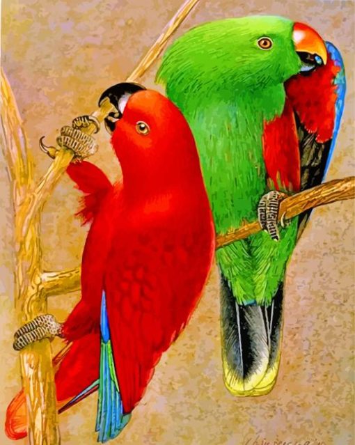 Eclectus Parrots Birds Diamond Painting