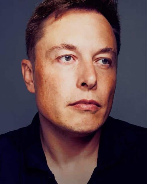 Elon Musk Diamond Painting
