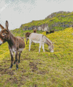 Mules In The Mountain Diamond Painting