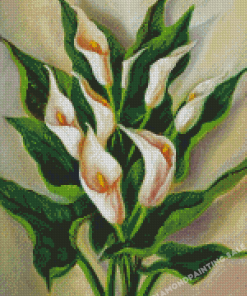 Peace Lily Flowers Diamond Painting