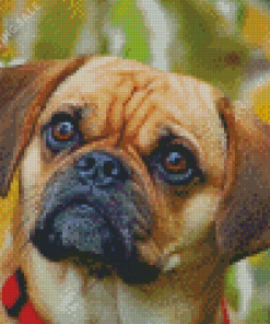 Puggle Dog Face Diamond Painting