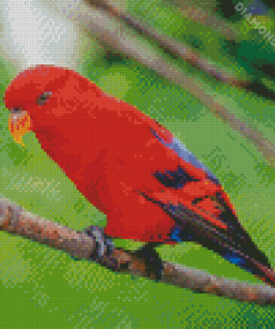 Red Lory Bird Diamond Painting
