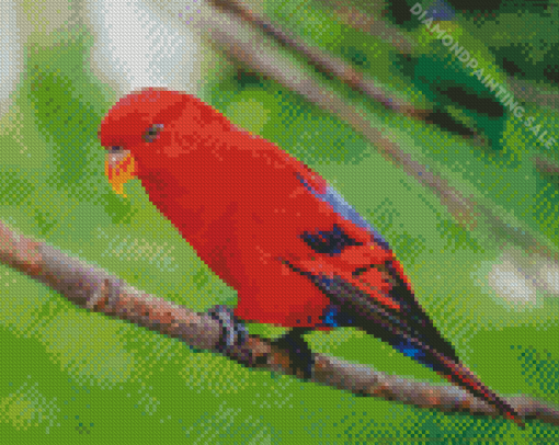 Red Lory Bird Diamond Painting