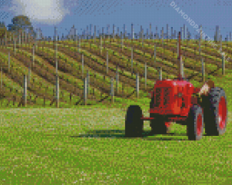 Red Truck In Grapevines Field Diamond Painting