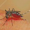 Aedes Mosquito Diamond Painting