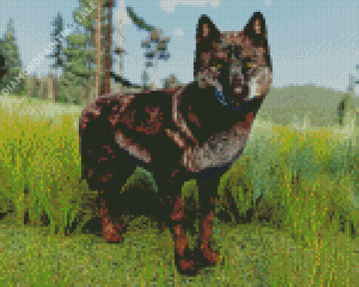 Black Wolf Animal Diamond Painting