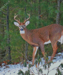 Forest Deer Diamond Painting