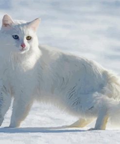 Large Fluffy Cat In Snow Diamond Painting