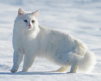 Large Fluffy Cat In Snow Diamond Painting