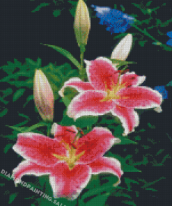 Pink Tiger Lilies Diamond Painting