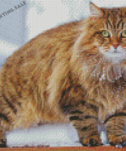 Siberian Cat Diamond Painting
