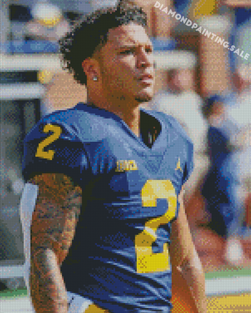 University Of Michigan Football Player Diamond Painting