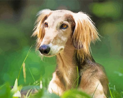 Saluki Dog Animal Diamond Painting