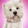 The West Highland Terrier Dog Diamond Painting