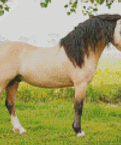 Beige Welsh Pony With Black Hair Diamond Painting