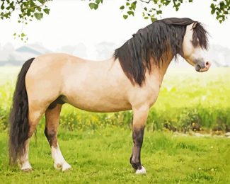 Beige Welsh Pony With Black Hair Diamond Painting