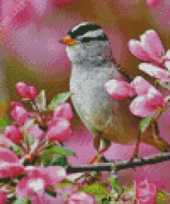 Bird Pink Flower Illustration Diamond Painting
