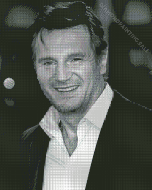 Black And White Liam Neeson Smiling Diamond Painting