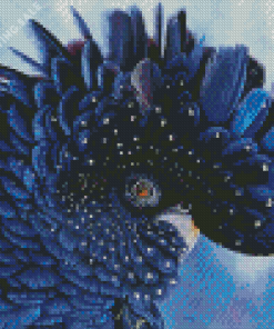 Black Cockatoo Bird Diamond Painting