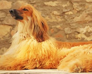 Blonde Afghan Hound Dog Diamond Painting