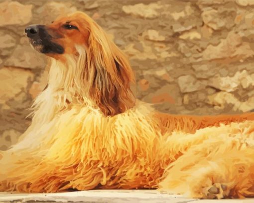 Blonde Afghan Hound Dog Diamond Painting