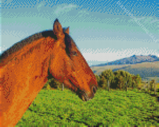 Brown Mare Horse Side Profile Diamond Painting