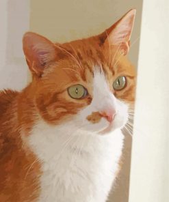 Cute Orange Tabby Cat With Green Eyes Diamond Painting