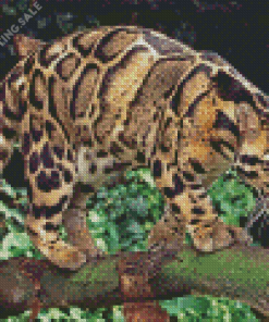 Clouded Leopard Diamond Painting