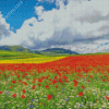 Beautiful Flower Fields Italy Landscape Diamond Painting