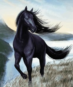 Black Mare Horse Art Diamond Painting