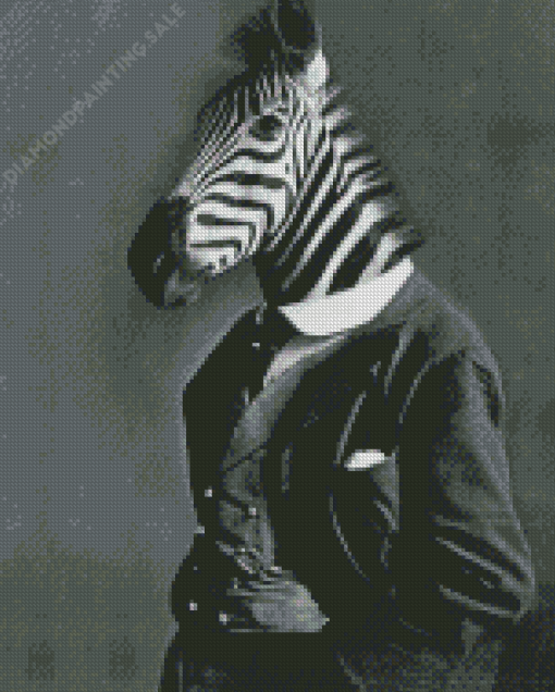 Black And White Mr Zebra Diamond Painting