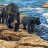 Black Bears Falls Diamond Painting